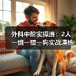 外科中阶实操班：2人一组一猫一狗实战演练，技能提升快