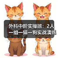 外科中阶实操班:2人一组一猫一狗实战演练,技能提升快(图4) 外科中阶实操班:2人一组一猫一狗实战演练,技能提升快(图4)