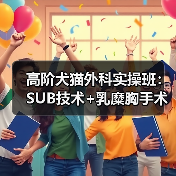 高阶犬猫外科实操班：SUB技术+乳糜胸手术全解析