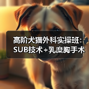 高阶犬猫外科实操班:SUB技术+乳糜胸手术全解析(图4) 高阶犬猫外科实操班:SUB技术+乳糜胸手术全解析(图4)