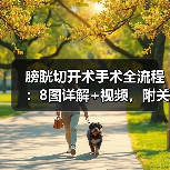 膀胱切开术手术全流程:8图详解+视频,附关键步骤(图3) 膀胱切开术手术全流程:8图详解+视频,附关键步骤(图3)