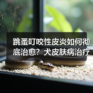 跳蚤叮咬性皮炎如何彻底治愈?犬皮肤病治疗方案解析(图2) 跳蚤叮咬性皮炎如何彻底治愈?犬皮肤病治疗方案解析(图2)