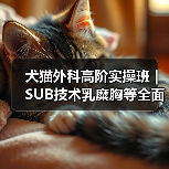 犬猫外科高阶实操班|SUB技术乳糜胸等全面掌握(图3) 犬猫外科高阶实操班|SUB技术乳糜胸等全面掌握(图3)