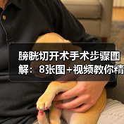 膀胱切开术手术步骤图解：8张图+视频教你精准取出结石（图3）