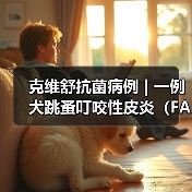克维舒抗菌病例 | 一例犬跳蚤叮咬性皮炎（FAD）的病例分析（图2）