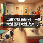 克维舒抗菌病例 | 一例犬跳蚤叮咬性皮炎（FAD）的病例分析（图3）