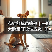 克维舒抗菌病例 | 一例犬跳蚤叮咬性皮炎（FAD）的病例分析（图4）