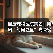 瑞辰宠物医院集团 | 第3周“每周之星”光荣榜（图3）