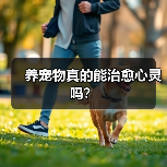 养宠物真的能治愈心灵吗?(图2) 养宠物真的能治愈心灵吗?(图2)