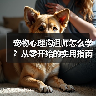 宠物心理沟通师怎么学？从零开始的实用指南（图4）