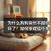 为什么狗狗突然不跟你玩了？如何重建信任关系？