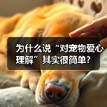 为什么说“对宠物爱心理解”其实很简单？