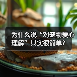 为什么说“对宠物爱心理解”其实很简单?(图3) 为什么说“对宠物爱心理解”其实很简单?(图3)