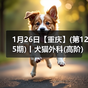 1月26日【重庆】(第125期)丨犬猫外科(高阶)班!含SUB(人人可实操)、乳糜胸等技术!(图3) 1月26日【重庆】(第125期)丨犬猫外科(高阶)班!含SUB(人人可实操)、乳糜胸等技术!(图3)
