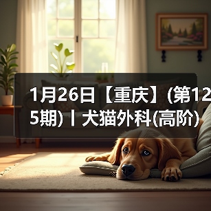 1月26日【重庆】(第125期)丨犬猫外科(高阶)班!含SUB(人人可实操)、乳糜胸等技术!(图4) 1月26日【重庆】(第125期)丨犬猫外科(高阶)班!含SUB(人人可实操)、乳糜胸等技术!(图4)
