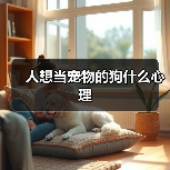 人想当宠物的狗什么心理(图3) 人想当宠物的狗什么心理(图3)
