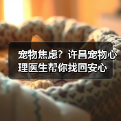 宠物焦虑？许昌宠物心理医生帮你找回安心