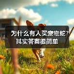 为什么有人买宠物蛇?其实答案很简单(图4) 为什么有人买宠物蛇?其实答案很简单(图4)