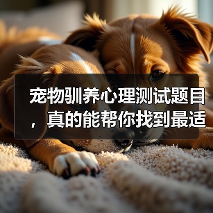 宠物驯养心理测试题目,真的能帮你找到最适合的训练方法吗?(图3) 宠物驯养心理测试题目,真的能帮你找到最适合的训练方法吗?(图3)