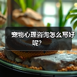 宠物心理咨询怎么写好呢?(图2) 宠物心理咨询怎么写好呢?(图2)