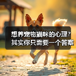 想养宠物猫咪的心理?其实你只需要一个答案(图2) 想养宠物猫咪的心理?其实你只需要一个答案(图2)