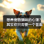 想养宠物猫咪的心理?其实你只需要一个答案(图4) 想养宠物猫咪的心理?其实你只需要一个答案(图4)