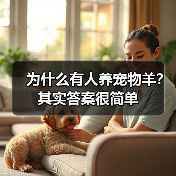 为什么有人养宠物羊？其实答案很简单