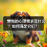 宠物的心理需求是什么?如何满足它们?(图4) 宠物的心理需求是什么?如何满足它们?(图4)