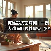 克维舒抗菌病例 | 一例犬跳蚤叮咬性皮炎(FAD)的病例分析(图2) 克维舒抗菌病例 | 一例犬跳蚤叮咬性皮炎(FAD)的病例分析(图2)