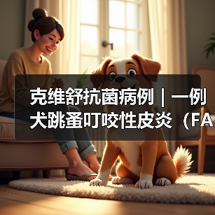 克维舒抗菌病例 | 一例犬跳蚤叮咬性皮炎（FAD）的病例分析