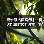 克维舒抗菌病例 | 一例犬跳蚤叮咬性皮炎(FAD)的病例分析(图4) 克维舒抗菌病例 | 一例犬跳蚤叮咬性皮炎(FAD)的病例分析(图4)