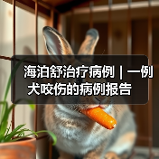 海泊舒治疗病例 | 一例犬咬伤的病例报告(图2) 海泊舒治疗病例 | 一例犬咬伤的病例报告(图2)