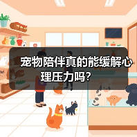 宠物陪伴真的能缓解心理压力吗?(图3) 宠物陪伴真的能缓解心理压力吗?(图3)