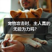 宠物攻击时,主人真的无能为力吗?(图3) 宠物攻击时,主人真的无能为力吗?(图3)