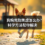 狗狗离别焦虑怎么办？科学方法帮你解决