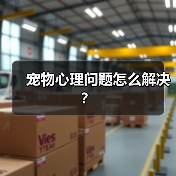 宠物心理问题怎么解决？