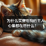 为什么买宠物狗的主人心里都在想什么?(图4) 为什么买宠物狗的主人心里都在想什么?(图4)