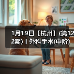 1月19日【杭州】(第122期)丨外科手术(中阶)实战班,2人/组提供一猫一狗,实操超多!(图4) 1月19日【杭州】(第122期)丨外科手术(中阶)实战班,2人/组提供一猫一狗,实操超多!(图4)