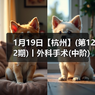 1月19日【杭州】(第122期)丨外科手术(中阶)实战班,2人/组提供一猫一狗,实操超多!(图3) 1月19日【杭州】(第122期)丨外科手术(中阶)实战班,2人/组提供一猫一狗,实操超多!(图3)