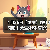 1月26日【重庆】(第125期)丨犬猫外科(高阶)班!含SUB(人人可实操)、乳糜胸等技术!(图2) 1月26日【重庆】(第125期)丨犬猫外科(高阶)班!含SUB(人人可实操)、乳糜胸等技术!(图2)