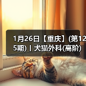 1月26日【重庆】(第125期)丨犬猫外科(高阶)班！含SUB(人人可实操)、乳糜胸等技术！