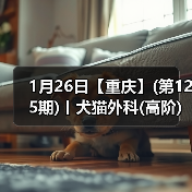 1月26日【重庆】(第125期)丨犬猫外科(高阶)班!含SUB(人人可实操)、乳糜胸等技术!(图3) 1月26日【重庆】(第125期)丨犬猫外科(高阶)班!含SUB(人人可实操)、乳糜胸等技术!(图3)