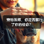 宠物医师,你是否履行了你的使命?(图2) 宠物医师,你是否履行了你的使命?(图2)