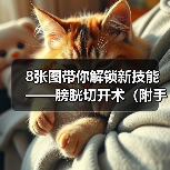 8张图带你解锁新技能——膀胱切开术(附手术视频)(图3) 8张图带你解锁新技能——膀胱切开术(附手术视频)(图3)
