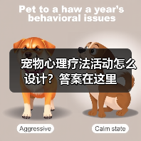 宠物心理疗法活动怎么设计？答案在这里（图2）
