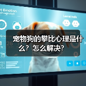 宠物狗的攀比心理是什么？怎么解决？（图4）