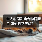 主人心理影响宠物健康？如何科学应对？