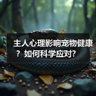主人心理影响宠物健康?如何科学应对?(图4) 主人心理影响宠物健康?如何科学应对?(图4)