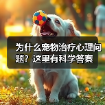 为什么宠物治疗心理问题？这里有科学答案