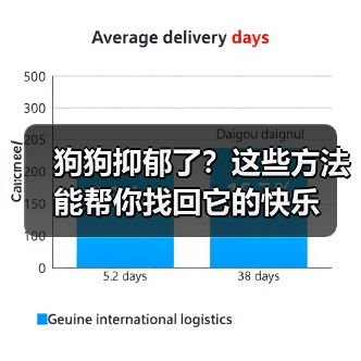 狗狗抑郁了?这些方法能帮你找回它的快乐(图4) 狗狗抑郁了?这些方法能帮你找回它的快乐(图4)